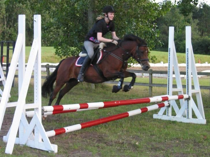 Anden særlig race Lykkebos Beauty - Spring Ridelejr 2009 Foto - Malene Møller Magnusson billede 12