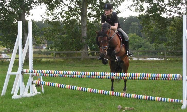 Anden særlig race Lykkebos Beauty - Spring Ridelejr 2009 Foto - Malene Møller Magnusson billede 13