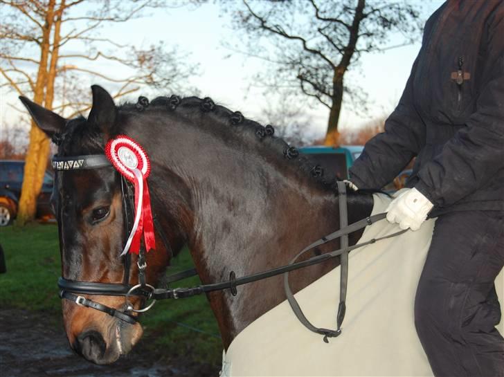 Anden særlig race Yasya - gamle part. - Velkommen til Yasyas profil, smid en bedømmelse & kommetar :D? billede 1