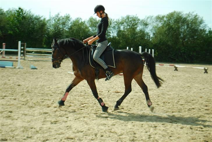 Anden særlig race Yasya - gamle part. - Dressur 23 august 09 .. Schenkelvigning :) billede 6