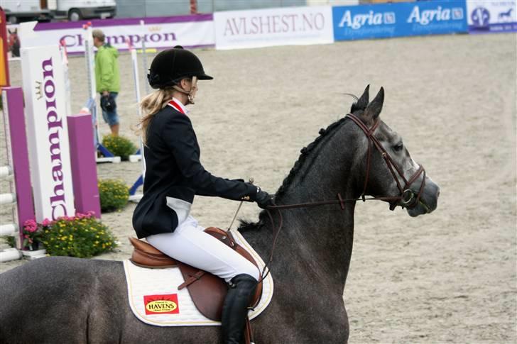 Dansk Varmblod Ågaards Corcentus (Tussi) - Centus og mig til vores første stævne. Drammen august 09 billede 10