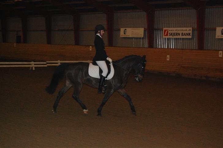 Anden særlig race Yasya - gamle part. - Eor stævne, d. 12/12-09 - VANDT :D ! billede 9