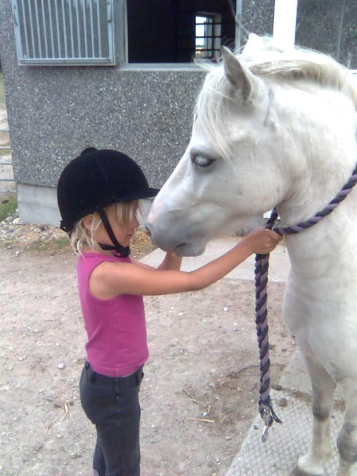 Anden særlig race Herkules - Herkules og Lærke billede 1