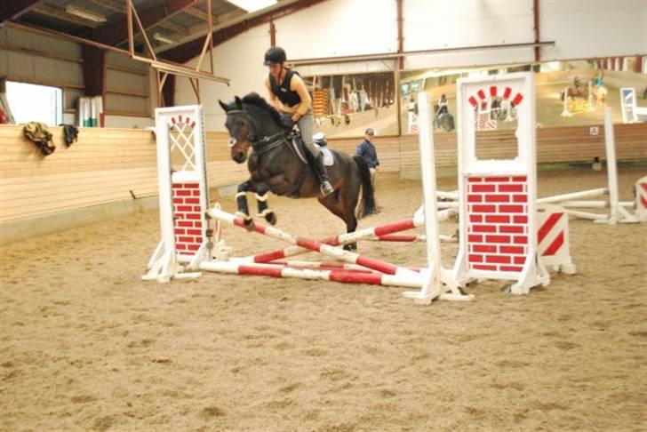 Anden særlig race Yasya - gamle part. - 1. springundervisning - 25/09-09 :). billede 10