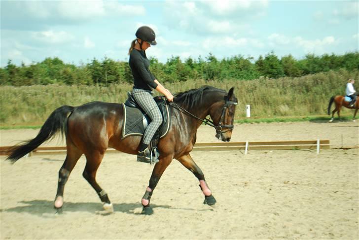 Anden særlig race Yasya - gamle part. - Dressur 23. august 2009 - Schenkelvigning :) billede 11