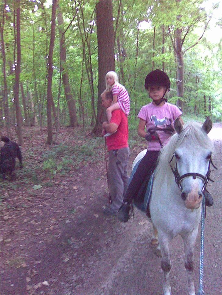 Anden særlig race Herkules - familie skovtur billede 7