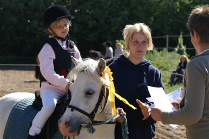 Anden særlig race Herkules - lærke og herkules første stævne i RIS foto T:B billede 8