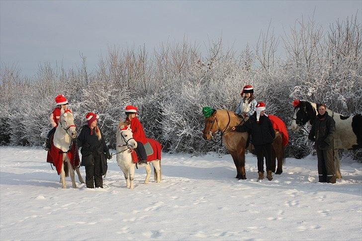 Anden særlig race Herkules - vinter børn billede 9