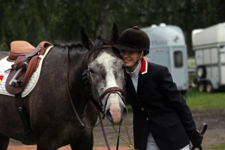 Dansk Varmblod Ågaards Corcentus (Tussi) - Hyggestund:) billede 20