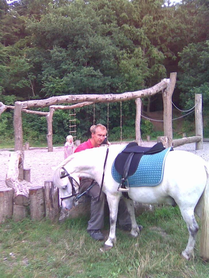 Anden særlig race Herkules - på legepladsen.. billede 14