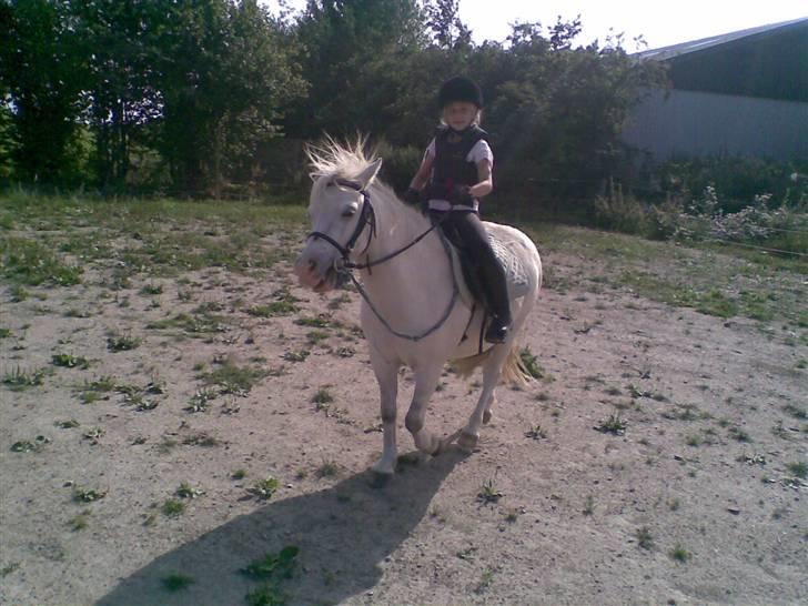 Anden særlig race Herkules - lærke & herkules sommer´09 billede 18