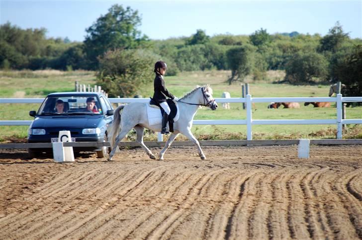 Anden særlig race Perle :*<3 DP:* R.I.P  :( - 7.hvad er det der er der henne:) billede 7