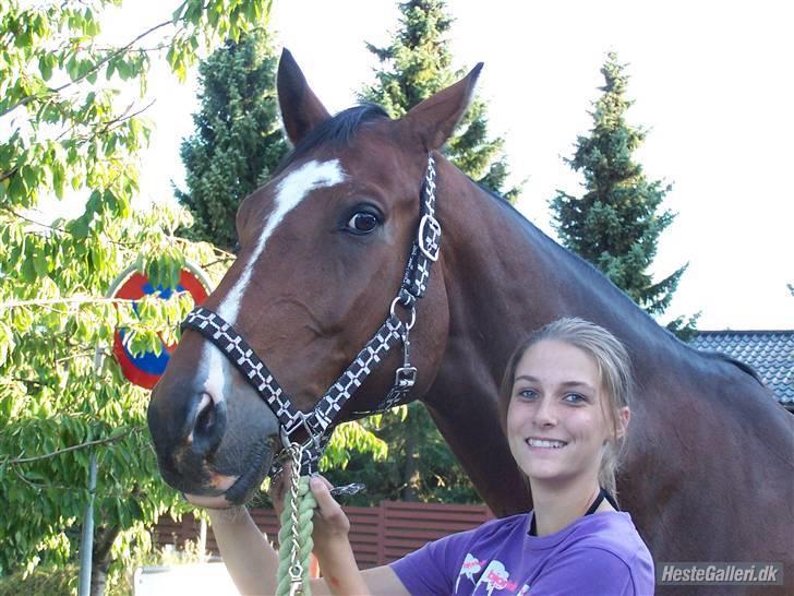 Dansk Varmblod Azur Khan - Man ka´ da ik være Andet en GLAD med ham xD !!! FOTO.: EMMA !  billede 16