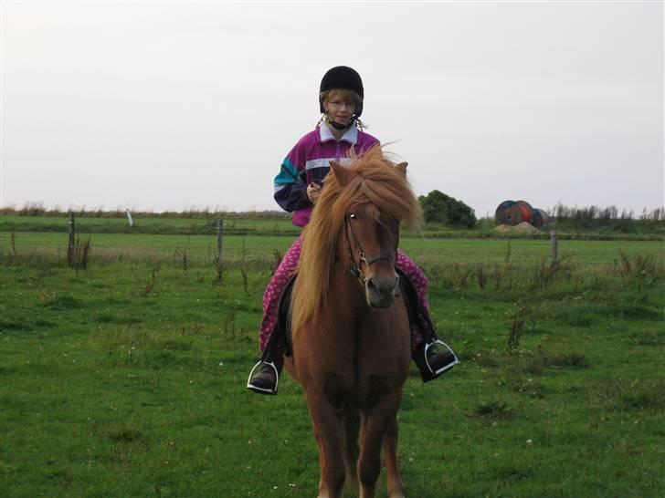 Islænder Reddi - Så kan i se hvor længe jeg har kendt ham..:) billede 20
