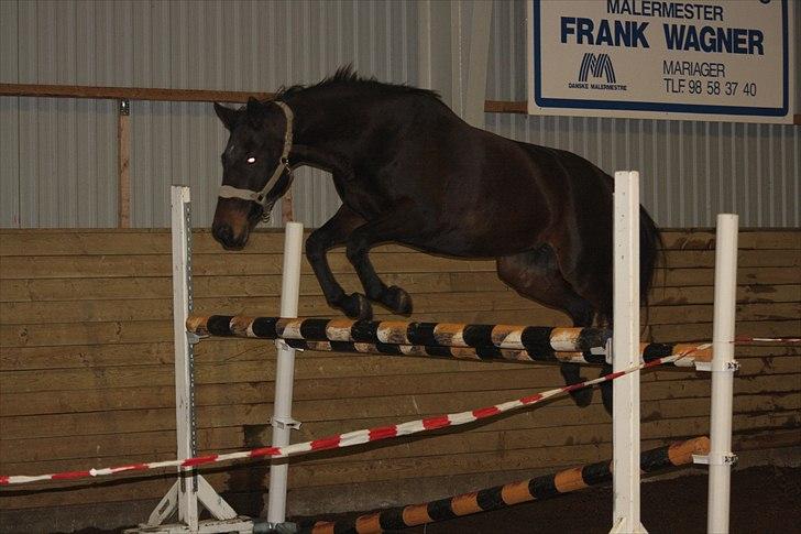 Anden særlig race Tyra - Tyra løsspringer 1.10! :D - Foto: Marie Smidstrup billede 13