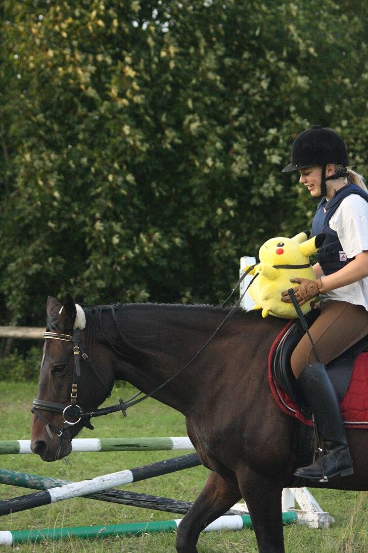 Anden særlig race Tyra - Tyra giver Pikatu en ridetur :D - Foto: Nanna Johnsen el. Semine Andersen billede 15