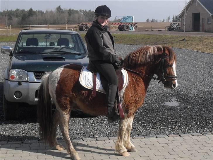 Pinto sweety MINBEDSTEVEN - 15.  hyggetur med cowboy sadle:D<3 billede 15