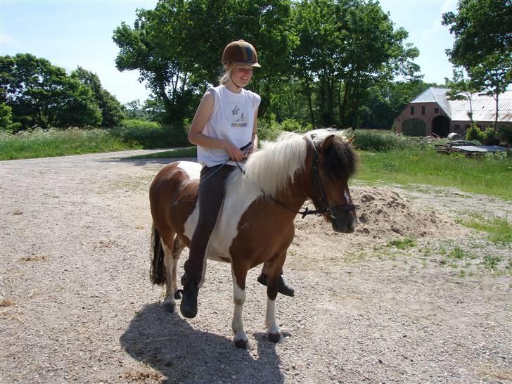 Anden særlig race Tonsbjergs Frederikke billede 1