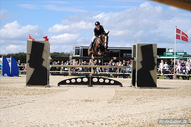 DSP Feminin - DM FINALE  2010   S4****    billede 10