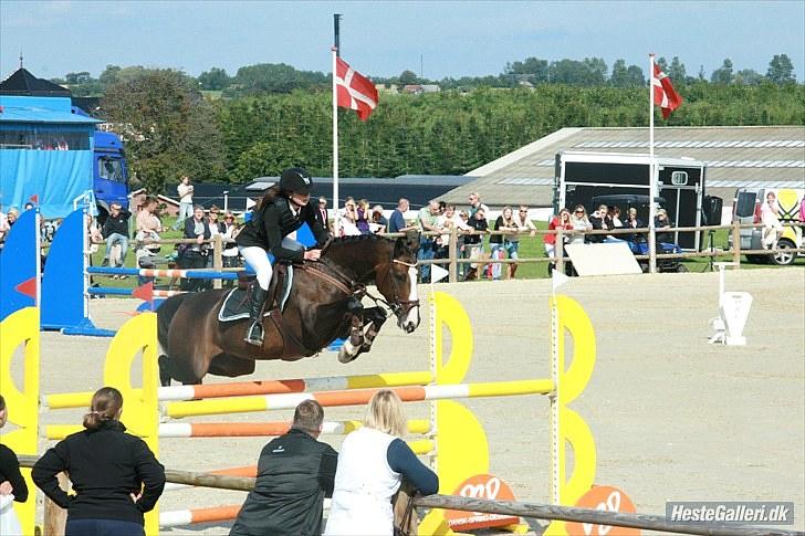 DSP Feminin - DM FINALE  2010   S4****    billede 11