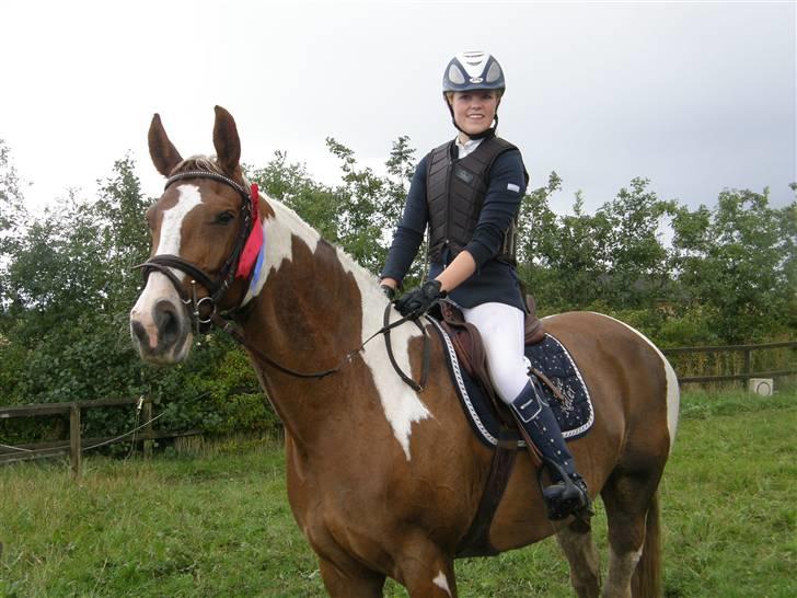 Pinto ZENIA  - Første stævne i en anden klub - ULE billede 8