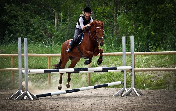 Hollandsk Sportspony Amazing Amigo *B-pony*  - spring træning´ 25 juli 2010´ efter 6 måneder pause, :D<3 Foto: Nina Krone billede 11