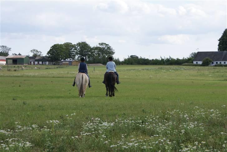 Frieser Griet A *RIP* - Når enden er god...........! billede 13