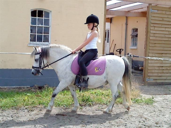 Anden særlig race Carlos<3 *gammel Passer* - Prinsessen på den hvide pony<3 billede 3