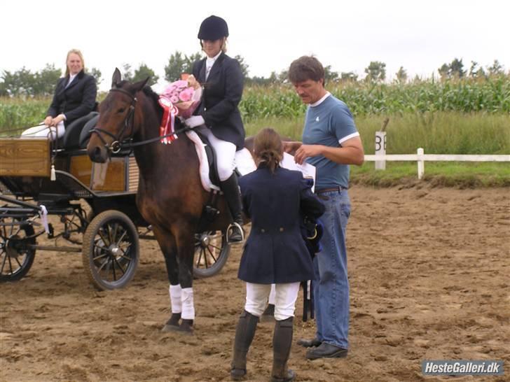 DSP Dine<3 - vinder af tylstrup coppen <3 :D elsker den pony <33 billede 17