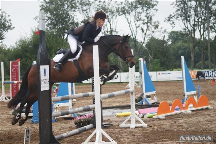 DSP Dine<3 - foto Jeannett billede 18