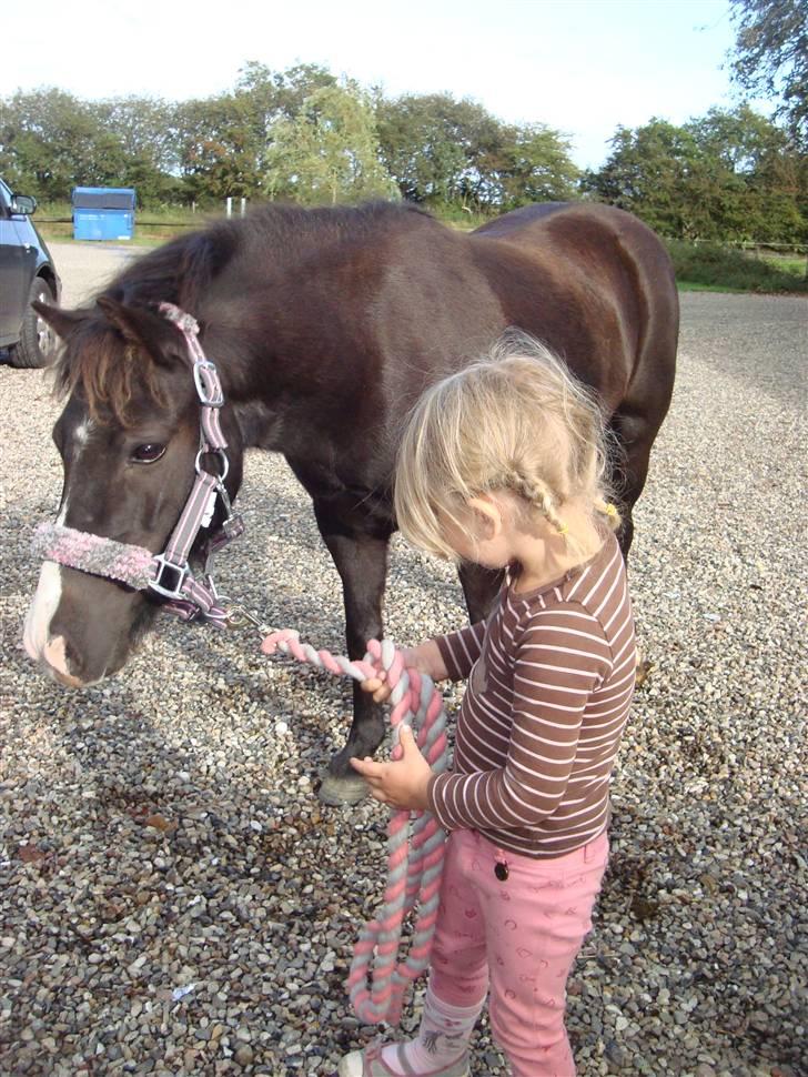 Anden særlig race Stabygårds Mia Maja billede 2