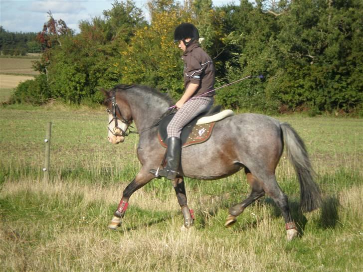 Anden særlig race twist solgt og savnet billede 14
