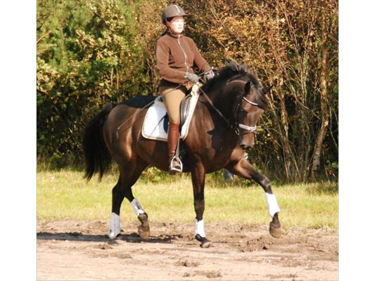 {{currentPhoto.altText}} billede {{currentPhoto.number}}