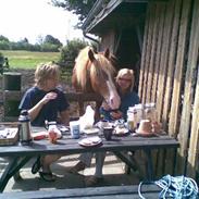 Frederiksborg Maxi Amor