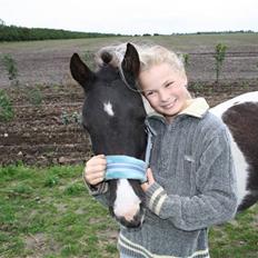 Anden særlig race Julie