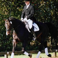 Dansk Varmblod LilleStaruphøjs CasanaRIP