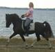 DSP Lacom Therese * solgt * 