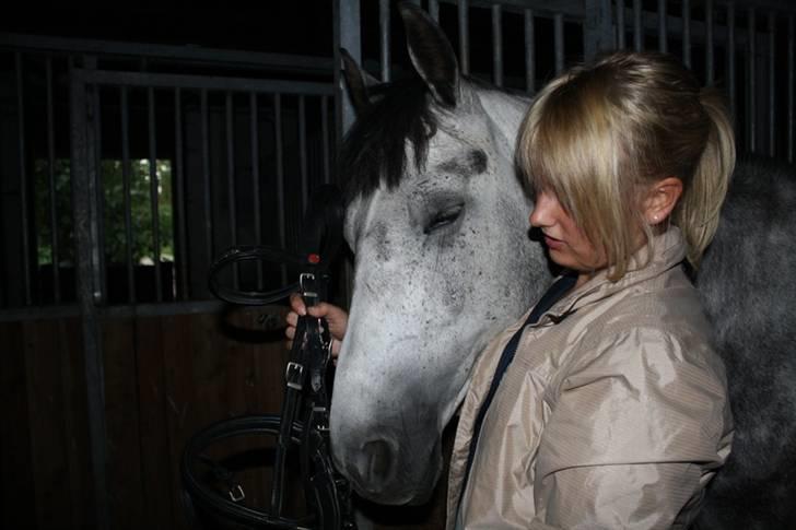 New Forest Zorro - Sødt billede selv om zorro lukker øjnene :b By AstaFink FJ photoes billede 6