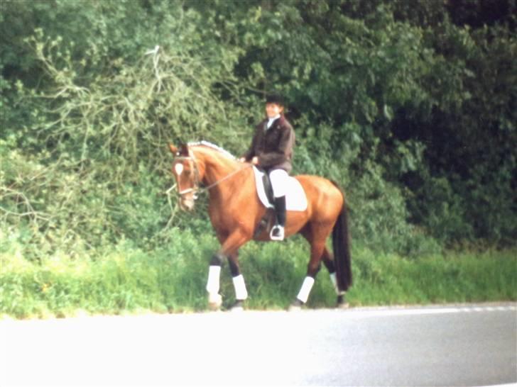 Holstener Lago billede 7