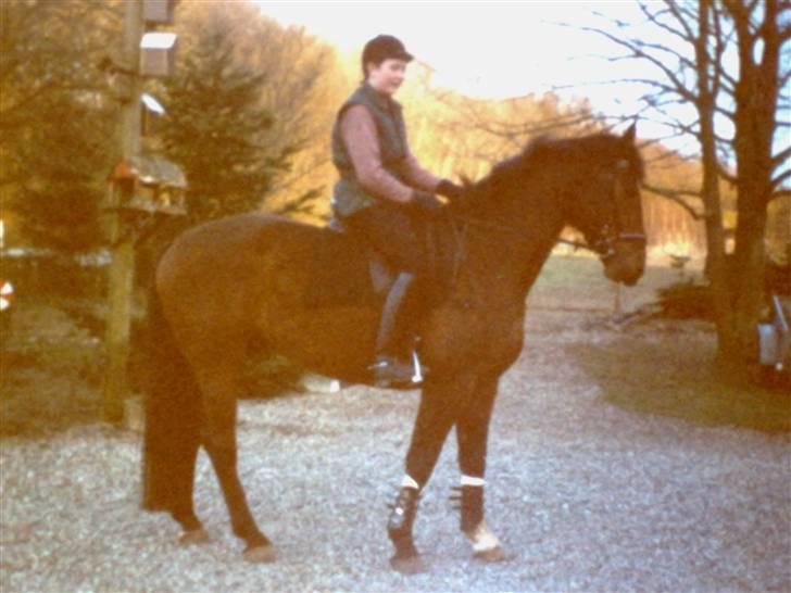 Holstener Lago billede 8