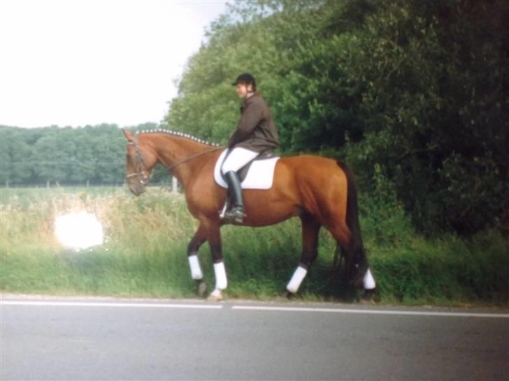 Holstener Lago billede 9