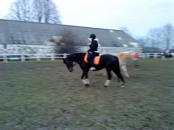 Oldenborg Horsmarks Farinella SOLGT - Ridning :P billede 8