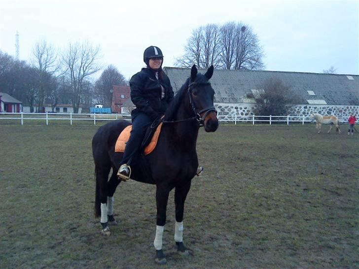 Oldenborg Horsmarks Farinella SOLGT - Ridning :P billede 10
