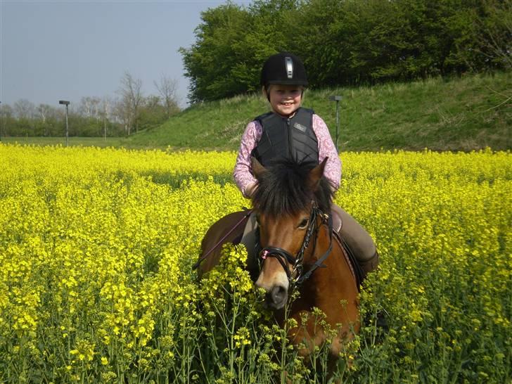 Anden særlig race Buster Larsen. (SOLGT) - Buster og Camilla på tur 2007 billede 16
