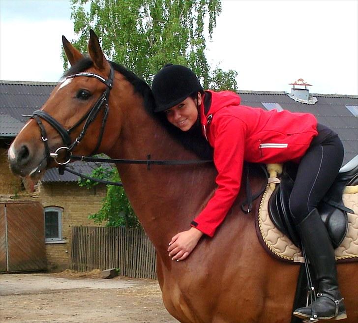 Dansk Varmblod Åkær Charlot (RDS Kåret) - Maj 2010 <3 billede 6