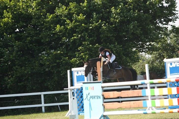 DSP Feminin - ma, eller S:)<3 søøøde pony!:) SVENDBORG 2010 billede 15