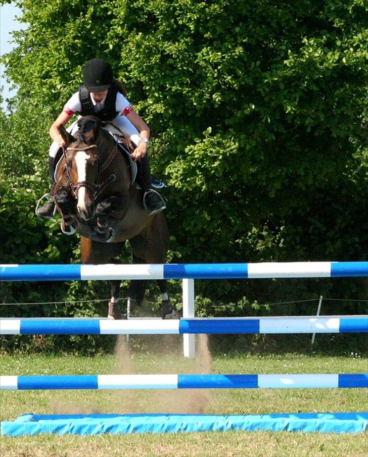 DSP Feminin - Lækre Feminin:P! MA eller S :) Foto- Louise Sørensen  billede 13