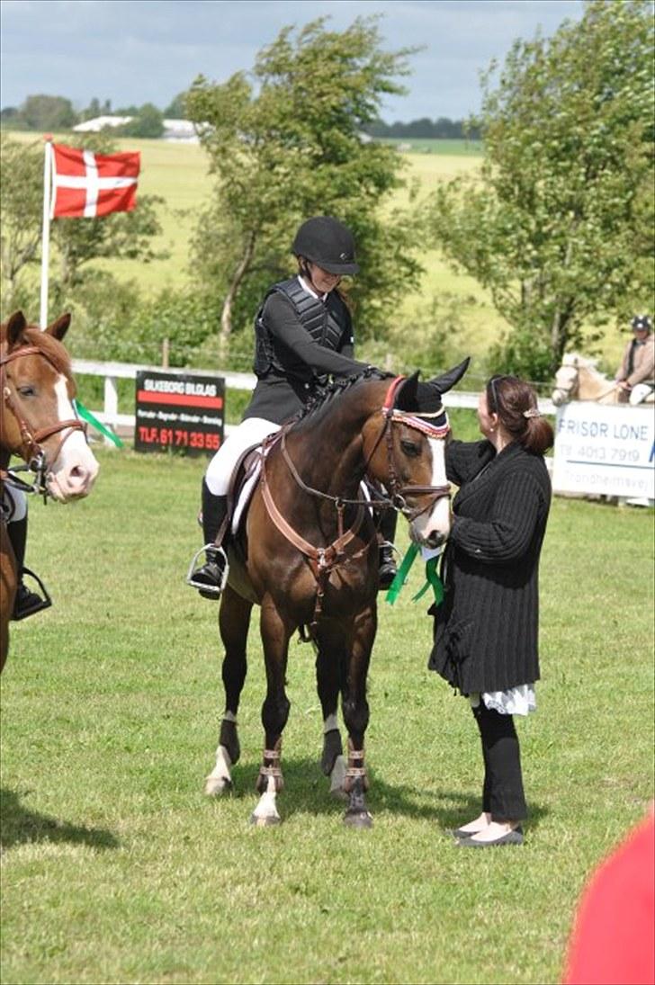 DSP Feminin - 17-6-2010 billede 17