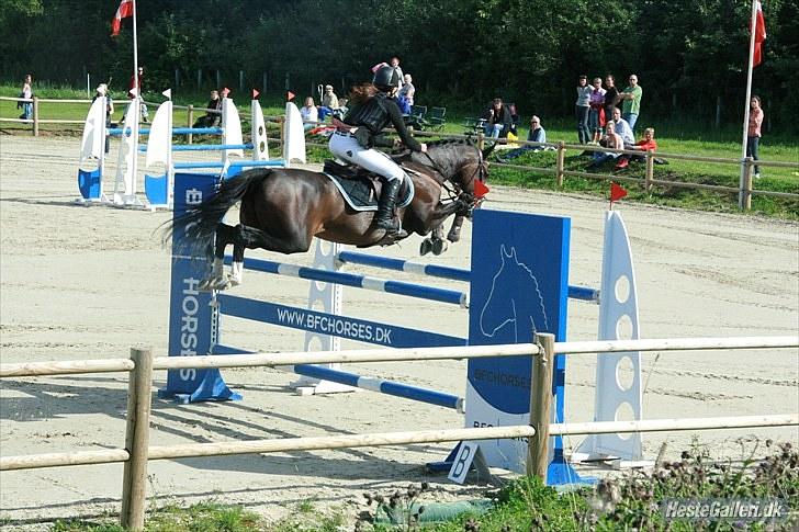 DSP Feminin - DM FINALE  2010   S4****    billede 8