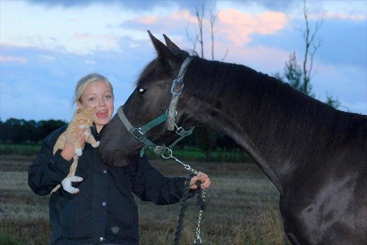 Anden særlig race - Ravnholts Miss Diva  - 1 år leger med Karoline og røde mis :o) billede 3